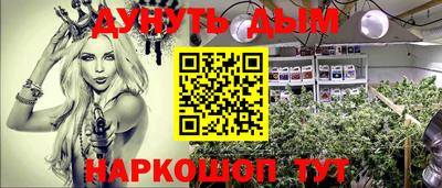 стаф Кандалакша