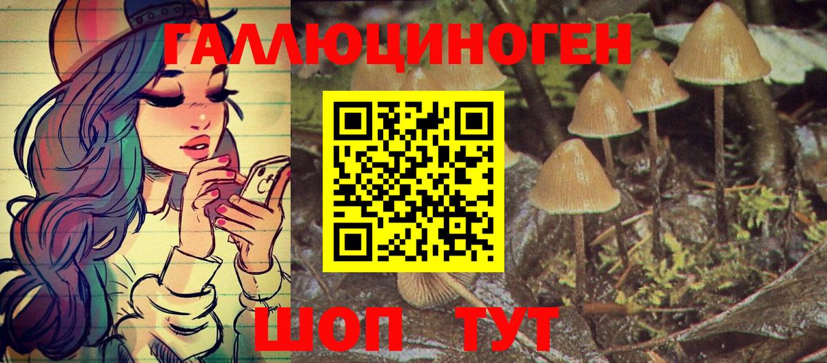 Казань  Галлюциногенные грибы GOLDEN TEACHER  Галлюциногенные грибы Magic Shrooms  Вход с VPN 